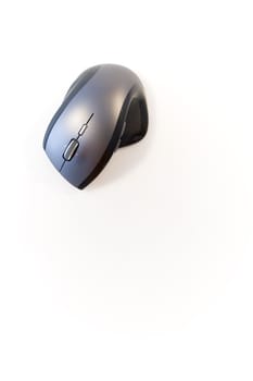 Computer mouse on white background