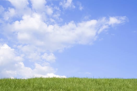 Beautiful green grass against blue sky and clouds representing perfect land.