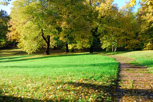 Beautiful autumn colors of the trres in the park. Morning light