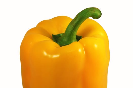 The close up picture of isolated paprica over white