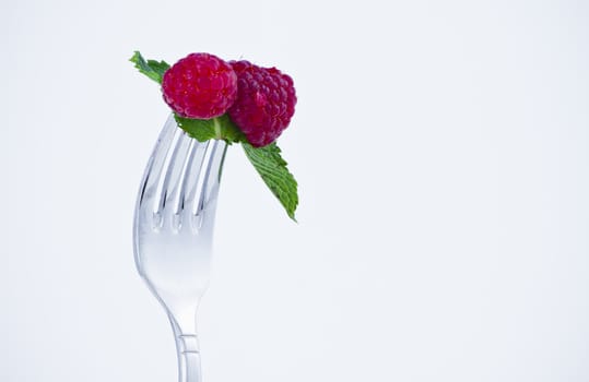 diet, backberries bite in a fork