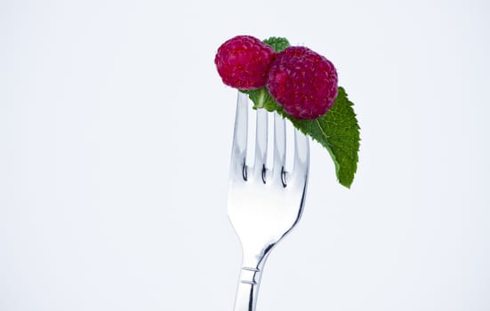 diet, backberries bite in a fork