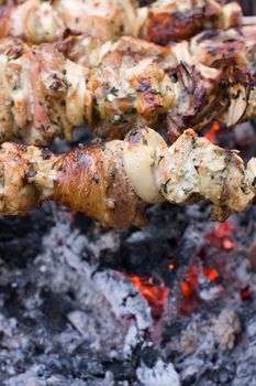 Shish Kebab cooking over an ember