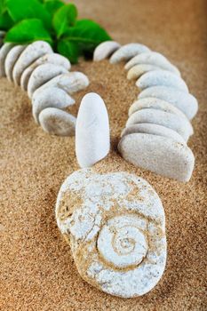 Green leaves and stones on the sea sand