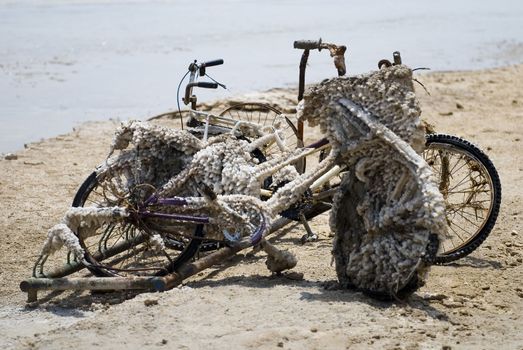 salted bicycle standing on the bank of Dead Sea