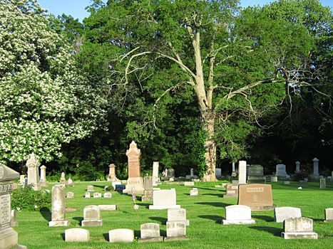 A photograph of a peaceful old cemetery.