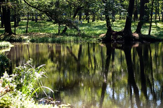 lake in the park surrounded by trees