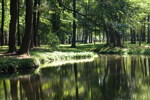 lake in the park surrounded by trees