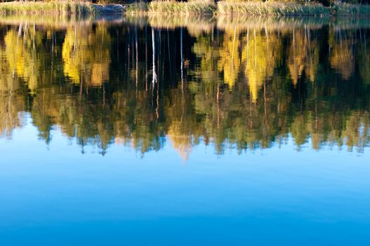 Autumn landscape in the forest lake