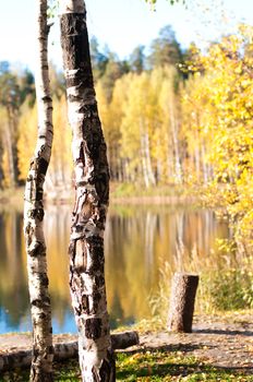 Beginning of the autumn in the forest near lake