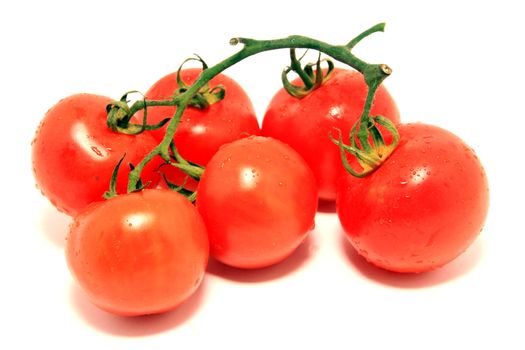 beautiful red tomatoes over white background