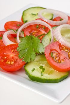 tomato and cucumber salad on a white plate