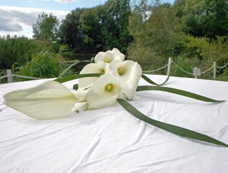 A lily sitting on a table after a wedding.