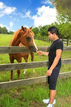 A man feeding a horse in a rural field in the countryside.