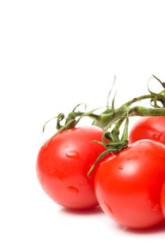 fresh red tomatoes on white background