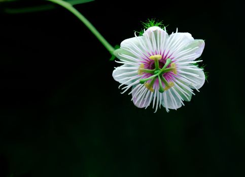 Taken in China's Hainan Island