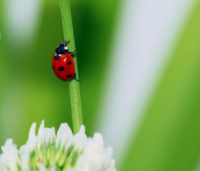 Taken in China's Sichuan Chengdu