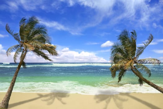 Sandy White Beach with Stunning Turquoise Waters and Palm Trees in Hawaii