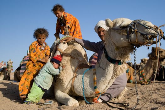 HURGHADA, EGYPT - JUNE 6: We take a closer look at the camels in Sahara Desert, Egypt, on June 6, 2008. Here beduins wait for tourists to take a camel ride so that they can earn some money for their families.