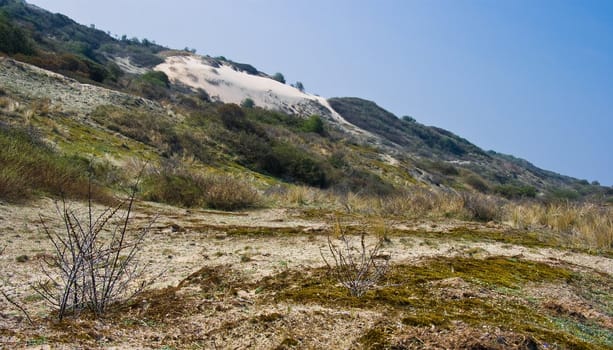 Landscape with sanddunes at the coast in april sun