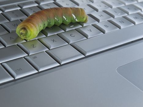 Macro shot of a caterpillar over a computer keyboard.