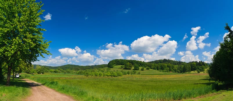 Sumer landscape - green fields, the blue sky