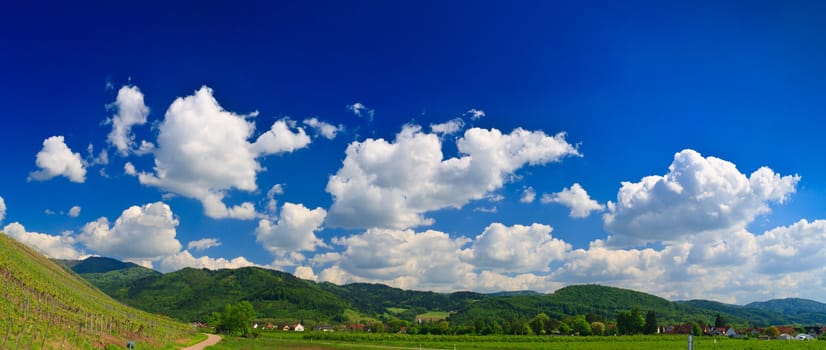 Sumer landscape - green fields, the blue sky