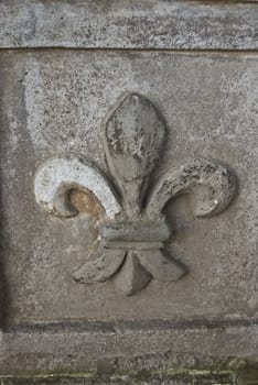 ornament of the famous fleur de lis on grey stone background