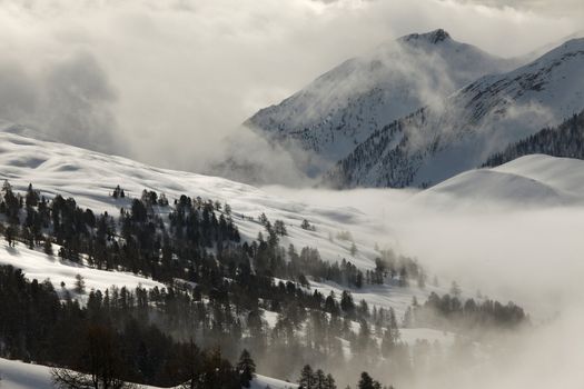 Misty winter mountains