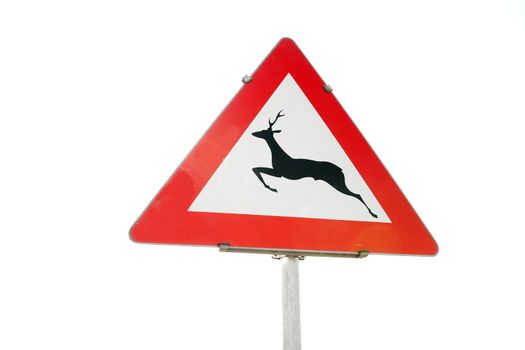 Traffic sign warns about animals by the road