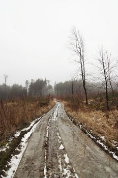 Shot of the snowy winter landscape with dirt road