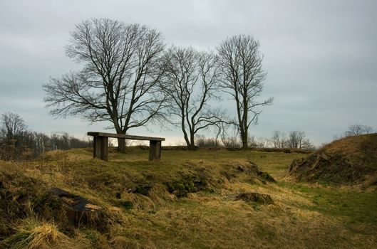 three trees saaremaa baltic estonia