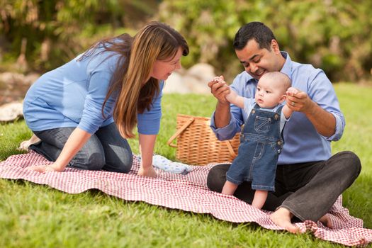 Happy Mixed Race Family Having a Picnic and Playing In The Park.