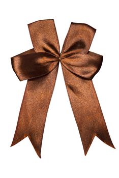 Brown beautiful bow over white with path
