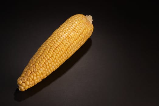 Fresh corn on the cob on black background