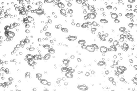 Bubbles floating isolated on white.