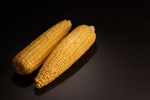 Fresh corn on the cob on black background