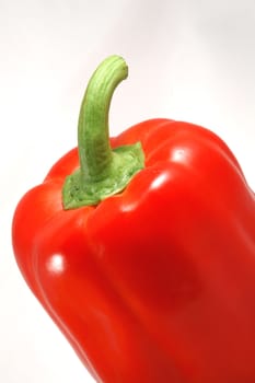The close up picture of isolated paprica over white