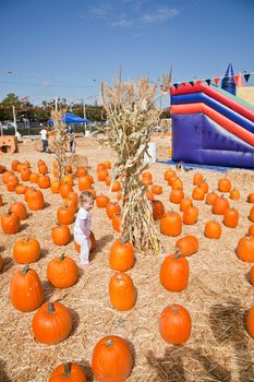 Cute little European toddler girl having fun on pumpkin patch.