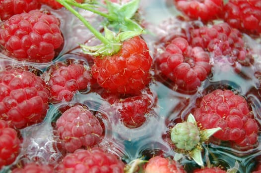 raspberries