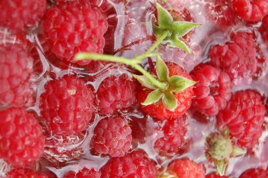 raspberry