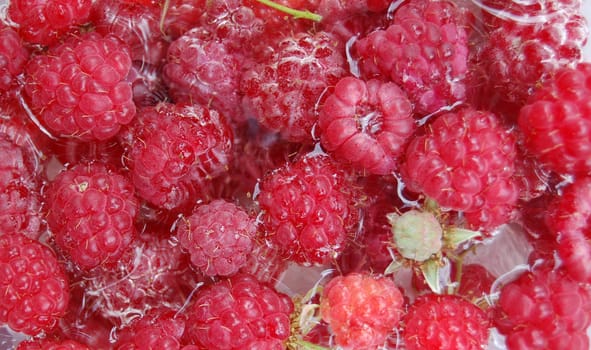 raspberry