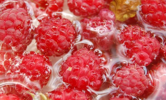 raspberry