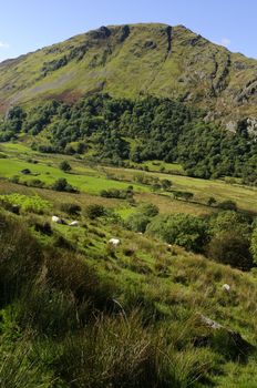 View of Gallt y Wenallt in Snowdonia National Park Gwynedd North Wales