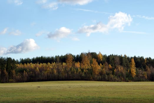 Light escaping the rural landscape of forest and field. Photographed in Tuohittu, Finland October 2010.