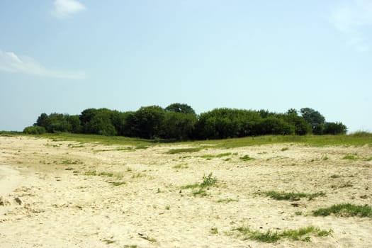 Photo of green island against a sandy beach