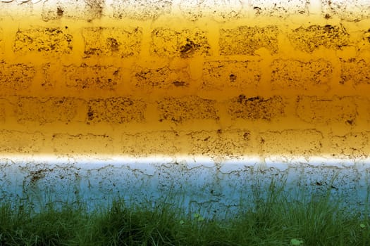 Photo of a grass against a brick wall