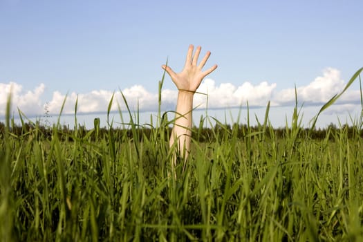 Hand sticking out of a green grass