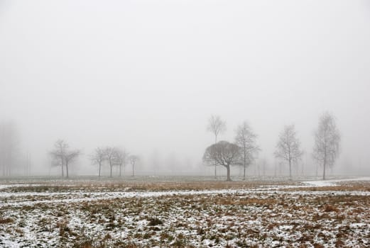 autumn garden in fog and snow