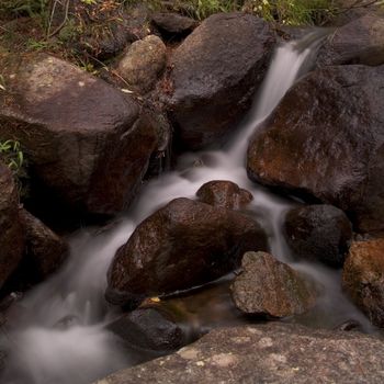 A small little brook along the Glacier Creek (storm pass) trail in Rocky Mountain National Park, Colorado.